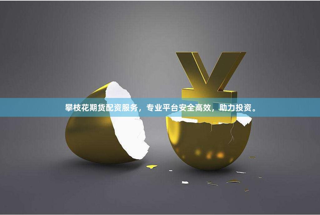 攀枝花期货配资服务，专业平台安全高效，助力投资。