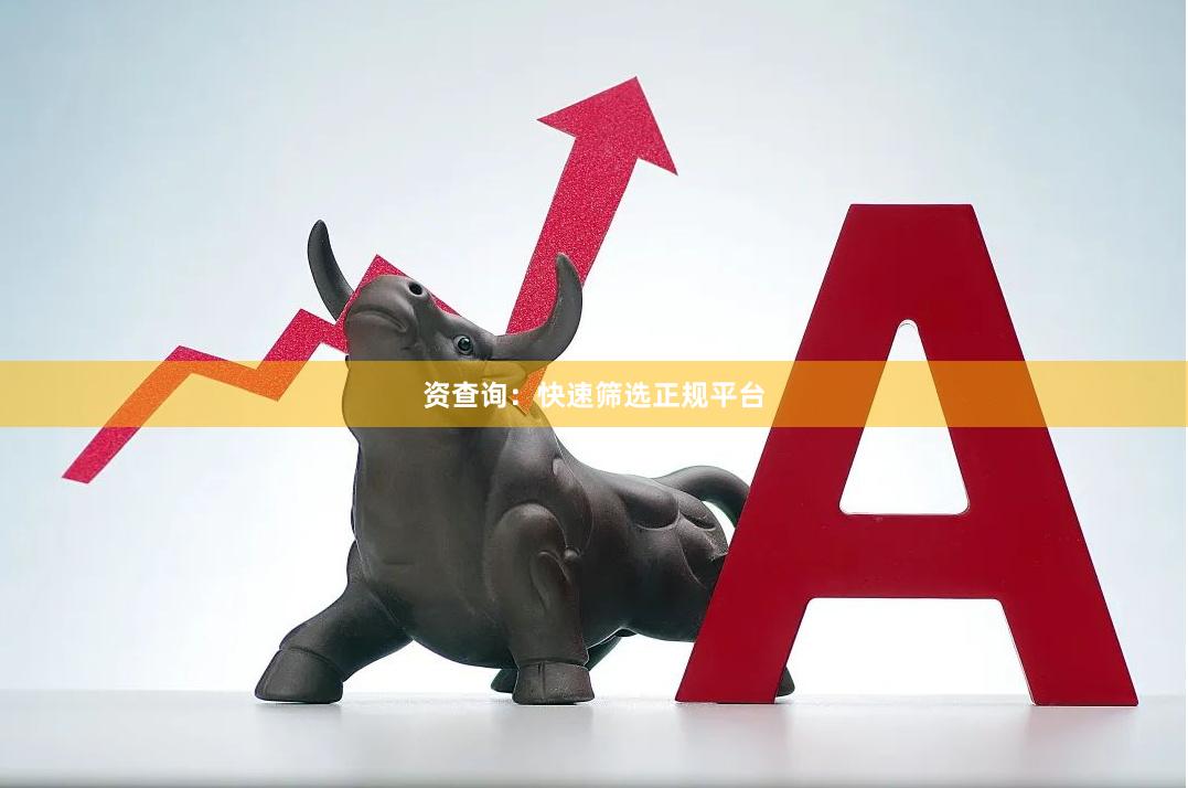 资查询：快速筛选正规平台