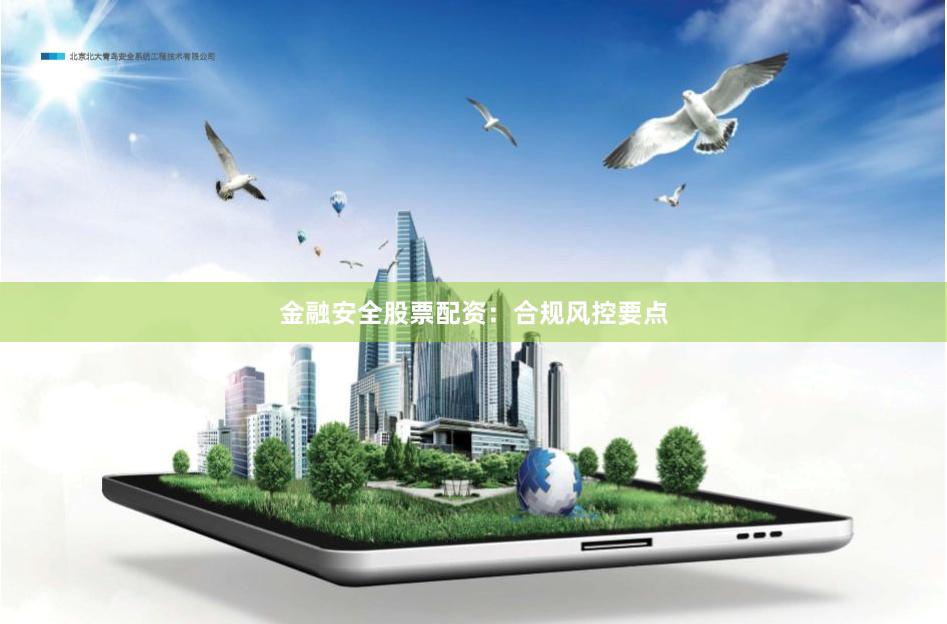 金融安全股票配资：合规风控要点